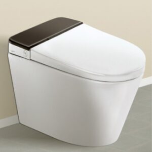 Bidspa (Electronic WC)